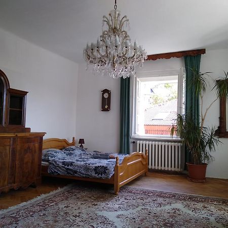 Rooms In Prague-Big+Comfy エクステリア 写真