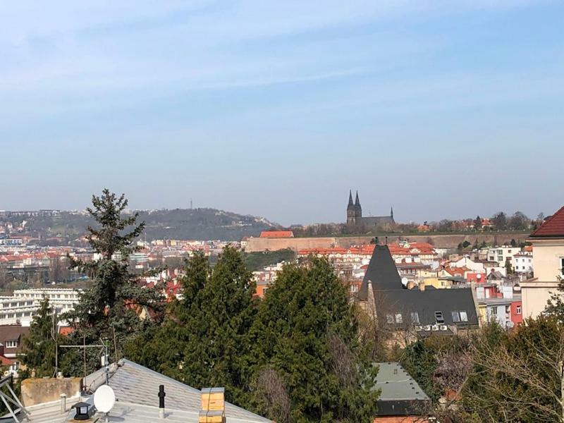 Rooms In Prague-Big+Comfy エクステリア 写真